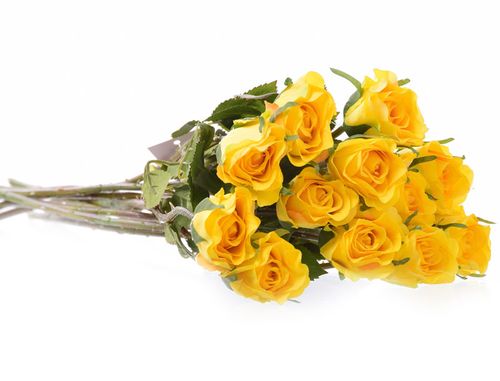 Róża gałązka żółta na Arena.pl