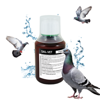 Sal Vet 200ml salmonella odporność gołębi + adapter