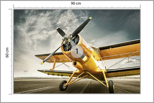 Fototapeta Zabytkowy Samolot Flizelina 400x280 na Arena.pl