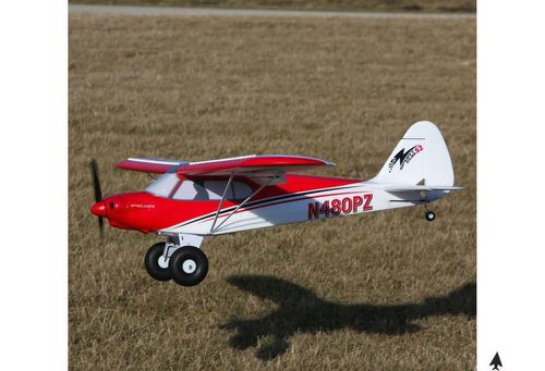 Sport Cub BNF na Arena.pl