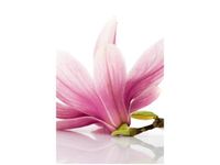 40X60CM RÓŻOWE MAGNOLIE OBRAZ