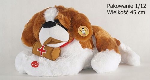 bernardyn leżący wielki na Arena.pl