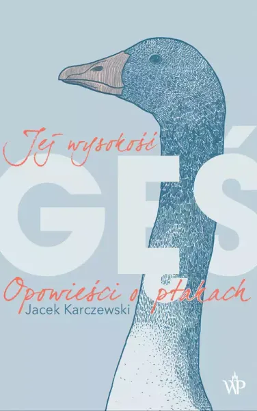 Jej wysokość gęś zdjęcie 1