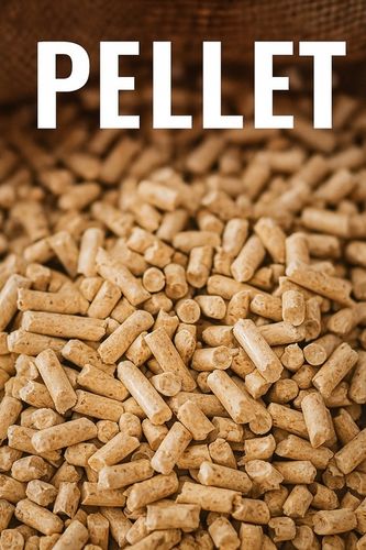 Ekologiczny Żwirek dla Kota 15 kg – Pellet Drewniany JASNY na Arena.pl