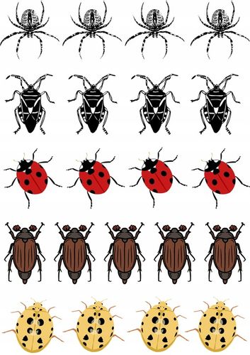 PRZYPINKI Z OBRAZKIEM,TEKSTEM,GRAFIKĄ 58 mm na Arena.pl