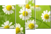 130CM 85 OBRAZ 4 ELEM RUMIANEK ŚCIENNY