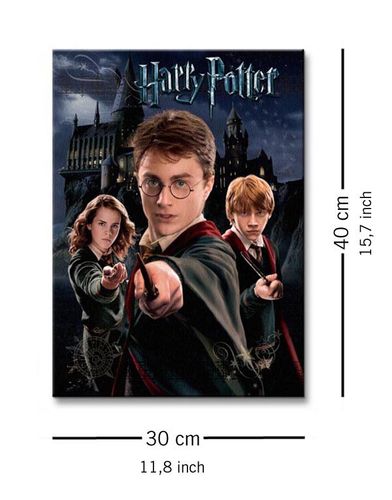 Harry Potter Harry Ron Hermione - Obraz na płótnie 30x40 cm na Arena.pl