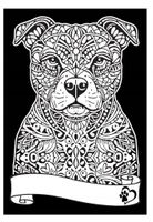 KOLOROWANKA WELWETOWA A4 PIES PITBUL COLORVELVET
