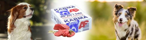 Karma dla Psa Mięso Mrożone Wołowe Bez Kości Surowe Świeże AS 10 kg BARF na Arena.pl