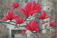 product-compare-58711645