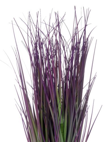 Trawa Mini Pink 30 cm na Arena.pl