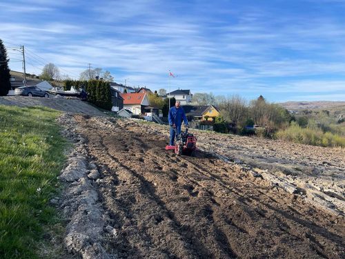 CEDRUS RTJ03 GLEBOGRYZARKA KULTYWATOR AKTYWNY 65cm DO TRAKTORKA TRAKTORA CEDRUS TJ01 CEDRUS TJ02 CEDRTJ03 DZIK JANSEN AGRO GRILLO MURATORI - EWIMAX - OFICJALNY DYSTRYBUTOR - AUTORYZOWANY DEALER CEDRUS na Arena.pl