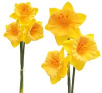 product-compare-52487504