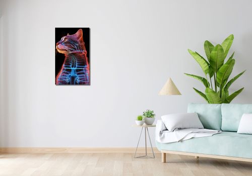 Obraz 40x70cm Anatomia Kota na Arena.pl