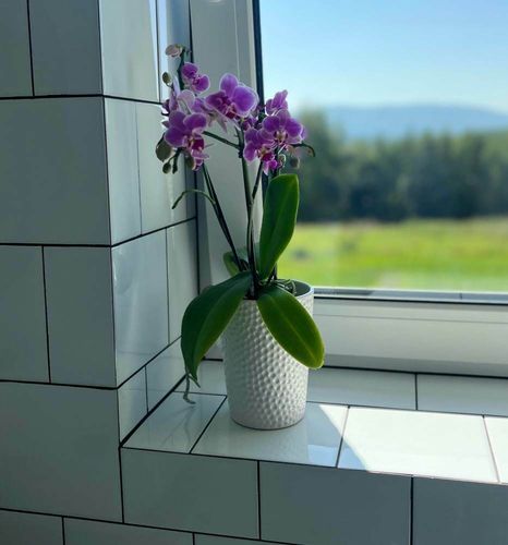 Doniczka ceramiczna osłonka biała do storczyka na Arena.pl