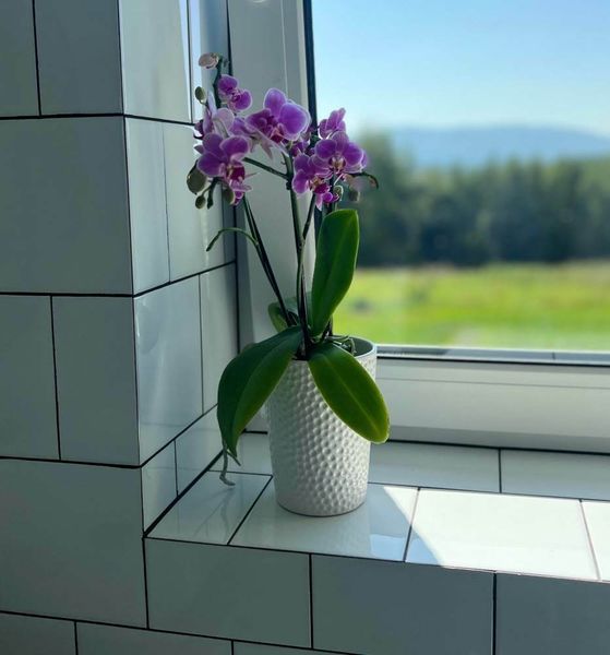 Doniczka ceramiczna osłonka biała do storczyka zdjęcie 2