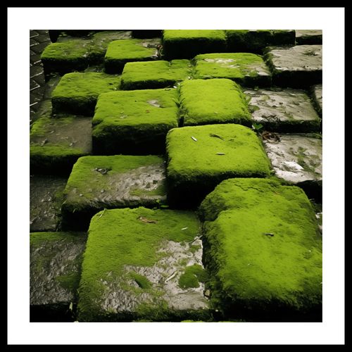 Plakat 40x40cm Zielona Mozaika na Arena.pl