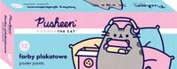 FARBY PLAKATOWE 12KOL 20ML PUSHEEN 8006