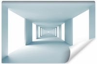 Fototapeta Do Biura Abstrakcja Nowoczesny TUNEL Efekt 3D 368cm x 254cm