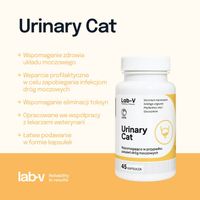 LAB-V Urinary Cat wsparcie układu moczowego dla kotów 45 kapsułek