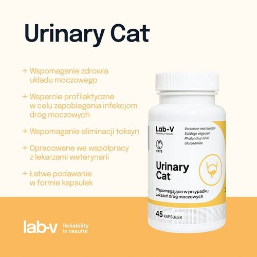 LAB-V Urinary Cat wsparcie układu moczowego dla kotów 45 kapsułek na Arena.pl