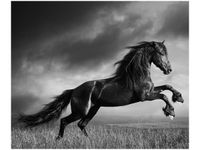 60X50CM KOŃ OBRAZ ŚCIAN DREWNIANE