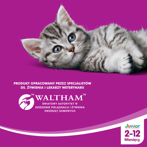 Whiskas Junior Kurczak 14kg na Arena.pl