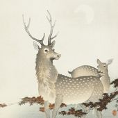 Plakat 20x20cm Couple of Deers, Koson Japoński Vintage do Salonu