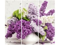 product-compare-58703374