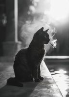 Plakat 20,5x28,4cm Kocia Przerwa