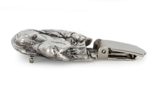 Spaniel Angielski Springer - klips - 2561 na Arena.pl