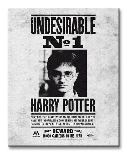 Harry Potter Undesirable No.1 - Obraz na płótnie 40x50 cm na Arena.pl