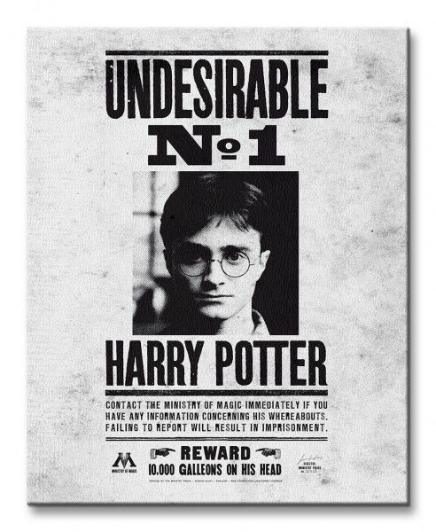 Harry Potter Undesirable No.1 - Obraz na płótnie 40x50 cm zdjęcie 2