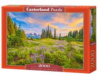 Puzzle 2000el Blossoms of Morning