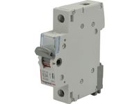 2 x 2 x ROZŁĄCZNIK IZOLACYJNY FR301 1P 63A LEGRAND 406421