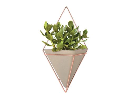 Doniczka ścienna Trigg Cooper na Arena.pl