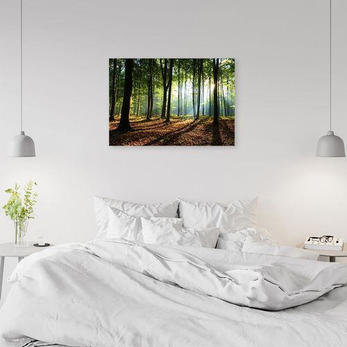 Deco Panel, Drzewa w lesie 90x60 na Arena.pl