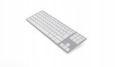 Matias Mac Tenkeyless Silver