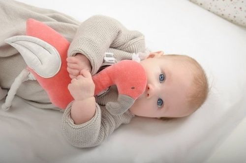 Trzęsący się Flaming, Kikadu na Arena.pl