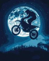 Malowanie po numerach - Nocny szał 40x50cm