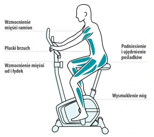 ROWER STACJONARNY rowerek MAGNETYCZNY BEAT - ZIPRO zdjęcie 4