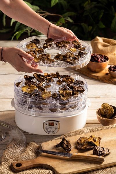 Suszarka do grzybów ziół i żywności 550W timer LCD zdjęcie 4