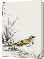 Obraz 50x70cm Tree-Pipit, Kashu Japoński Vintage do Salonu