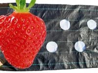 agrotkanina OTWORY TRUSKAWKI OGÓRKI 0,6 x 20m UV