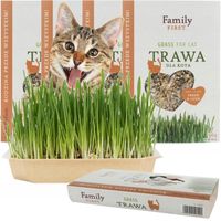 TRAWA DLA KOTA W POJEMNIKU GĘSTA ODKŁACZAJĄCA KOCI PRZYSMAK SMAKOŁYK 4x100G