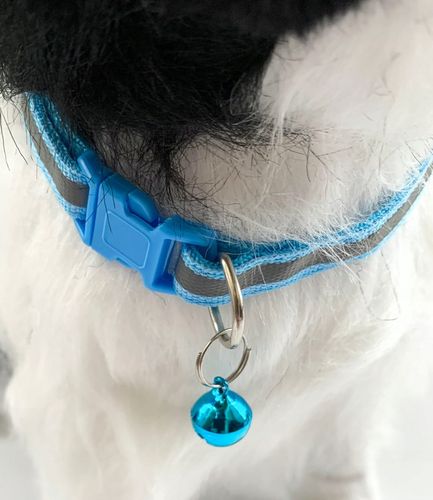 Interaktywny piesek na smyczy chodzi szczeka pies na Arena.pl