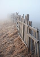 Plakat 59,4x84,1cm Mgła nad Wydmami