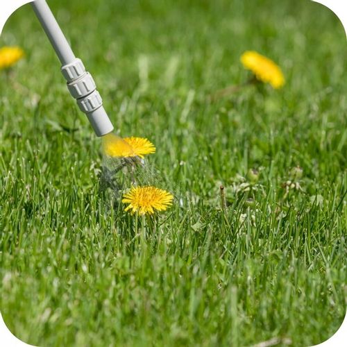 ŚRODEK NA CHWASTY ROUNDUP 360 PLUS GLIFOSAT RANDAP 1L CHWASTOBÓJCZY MOCNY na Arena.pl