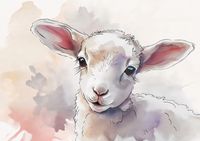 Plakat 84,1x59,4cm Mała Owieczka