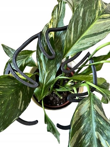 Podpórki do roślin kwiatów podpórka podpora obręcz RING MONSTERA M 33cm na Arena.pl